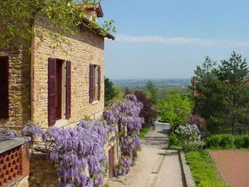 Logis Hôtel et Spa le Savigny Blacé 3*,
