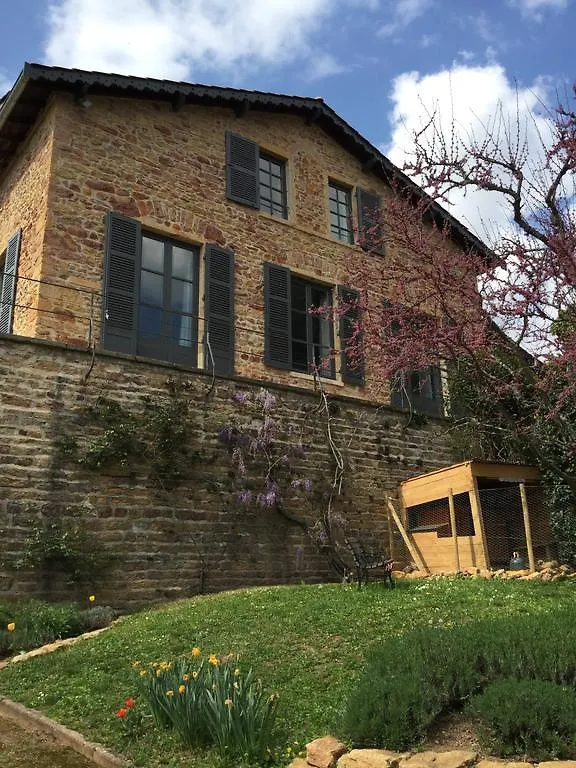 *** Hotel Logis Hôtel et Spa le Savigny Blacé France